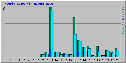 Hourly usage for August 2025