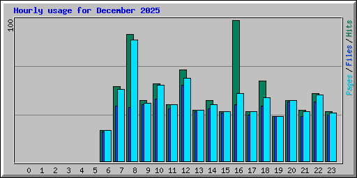 Hourly usage for December 2025