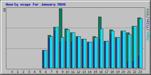 Hourly usage for January 2026